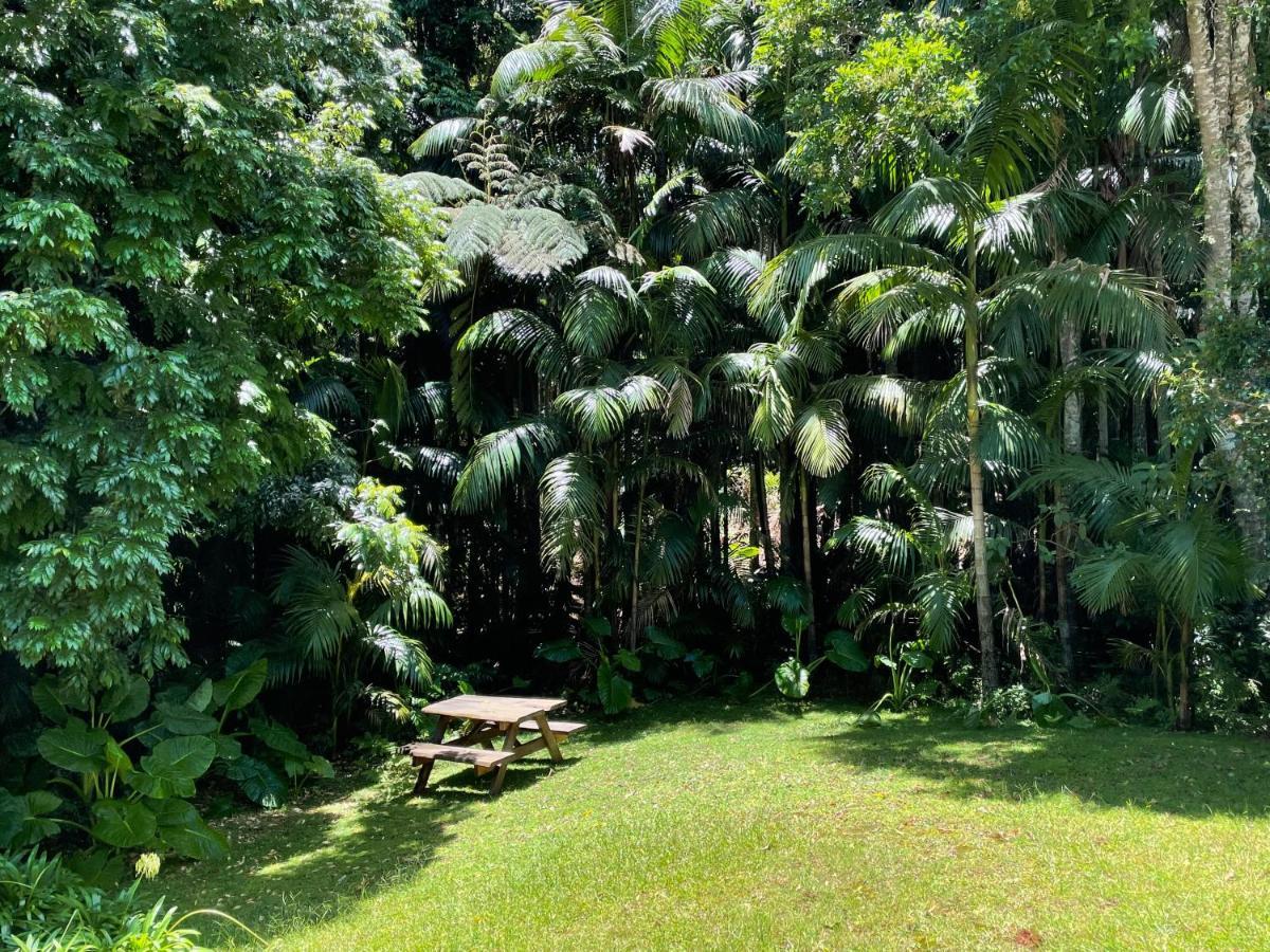 Romantic Cottage, Tamborine Mountain Exterior photo