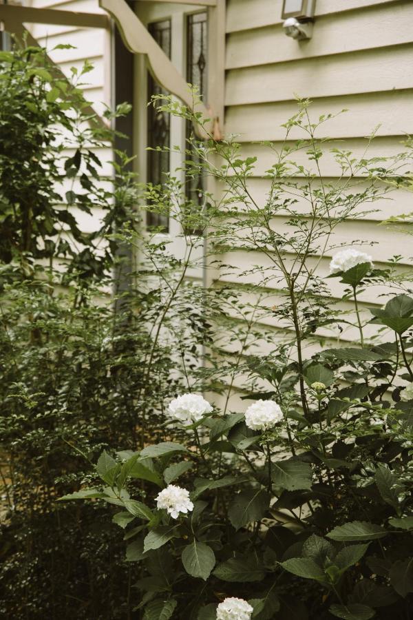 Romantic Cottage, Tamborine Mountain Exterior photo